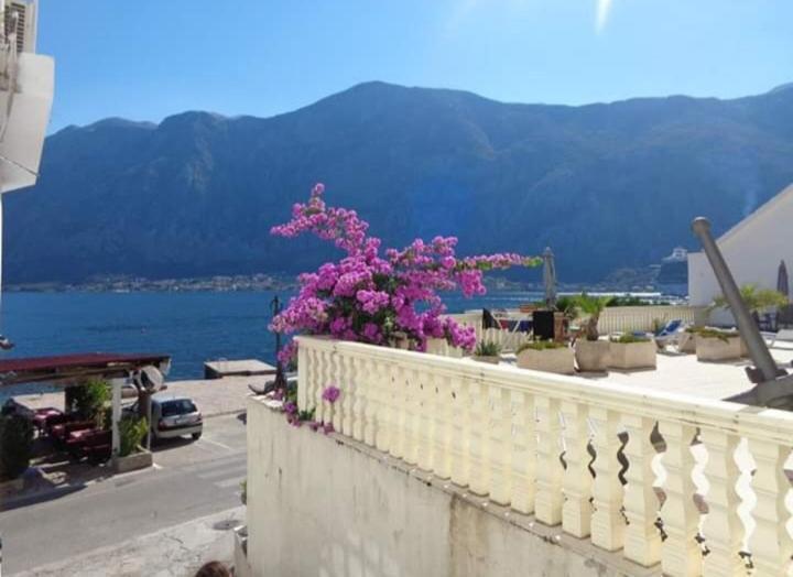 Apartments Vila Marija Kotor Dış mekan fotoğraf